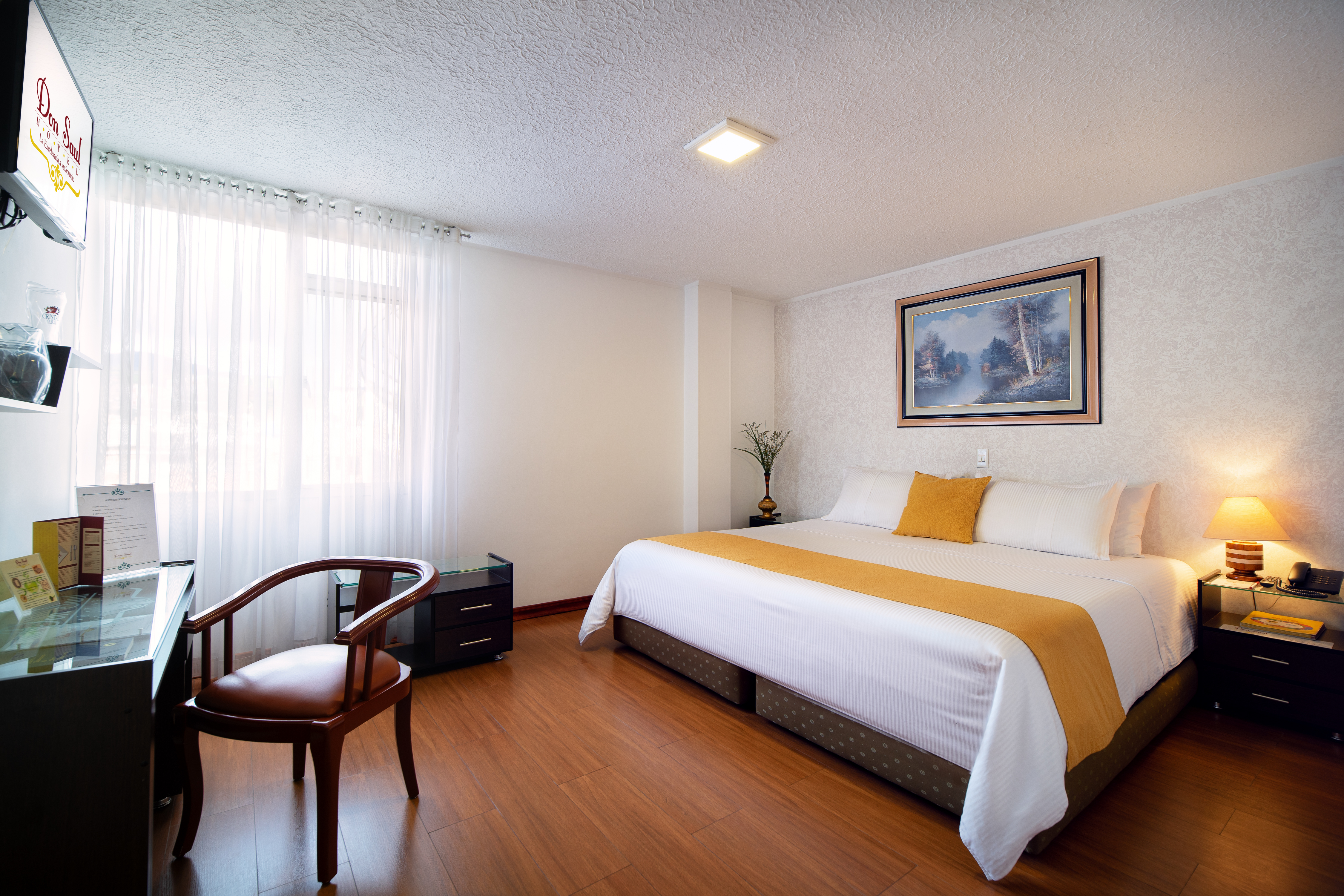 Hotel Don Saul 17/50