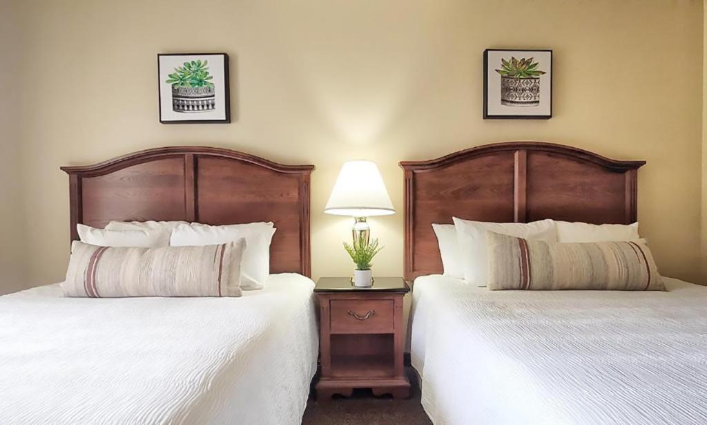 2 Bedrooms, Suite, Twin Beds