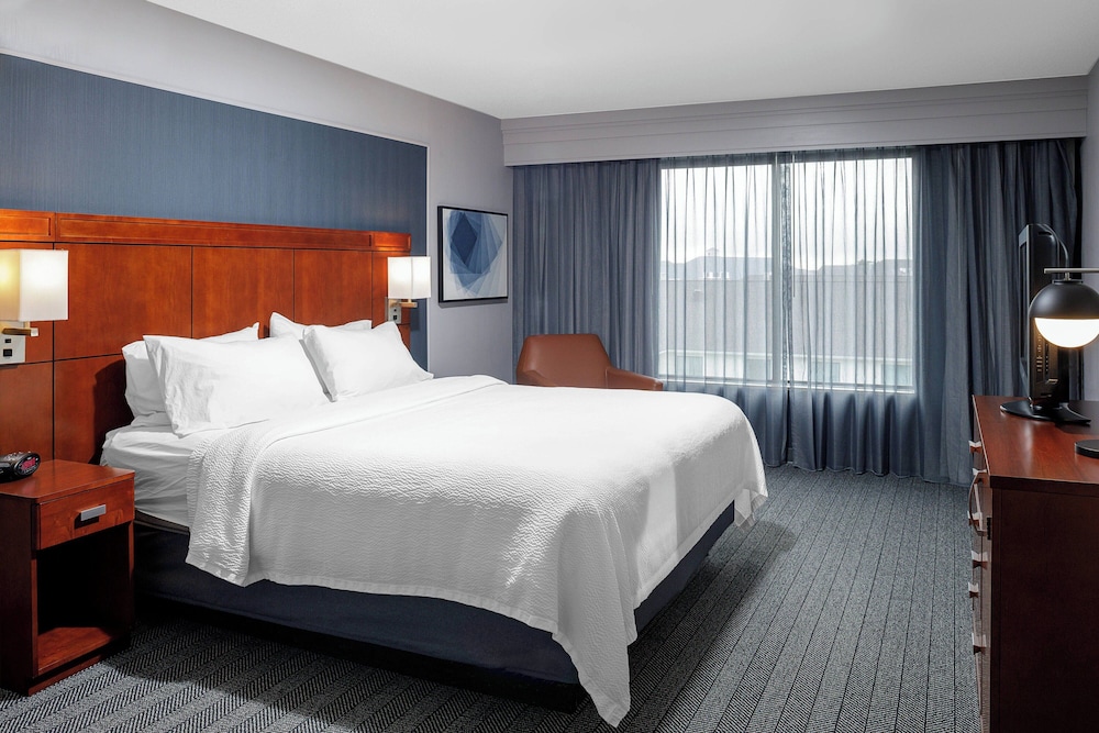 1 Bedroom, Premium, Suite