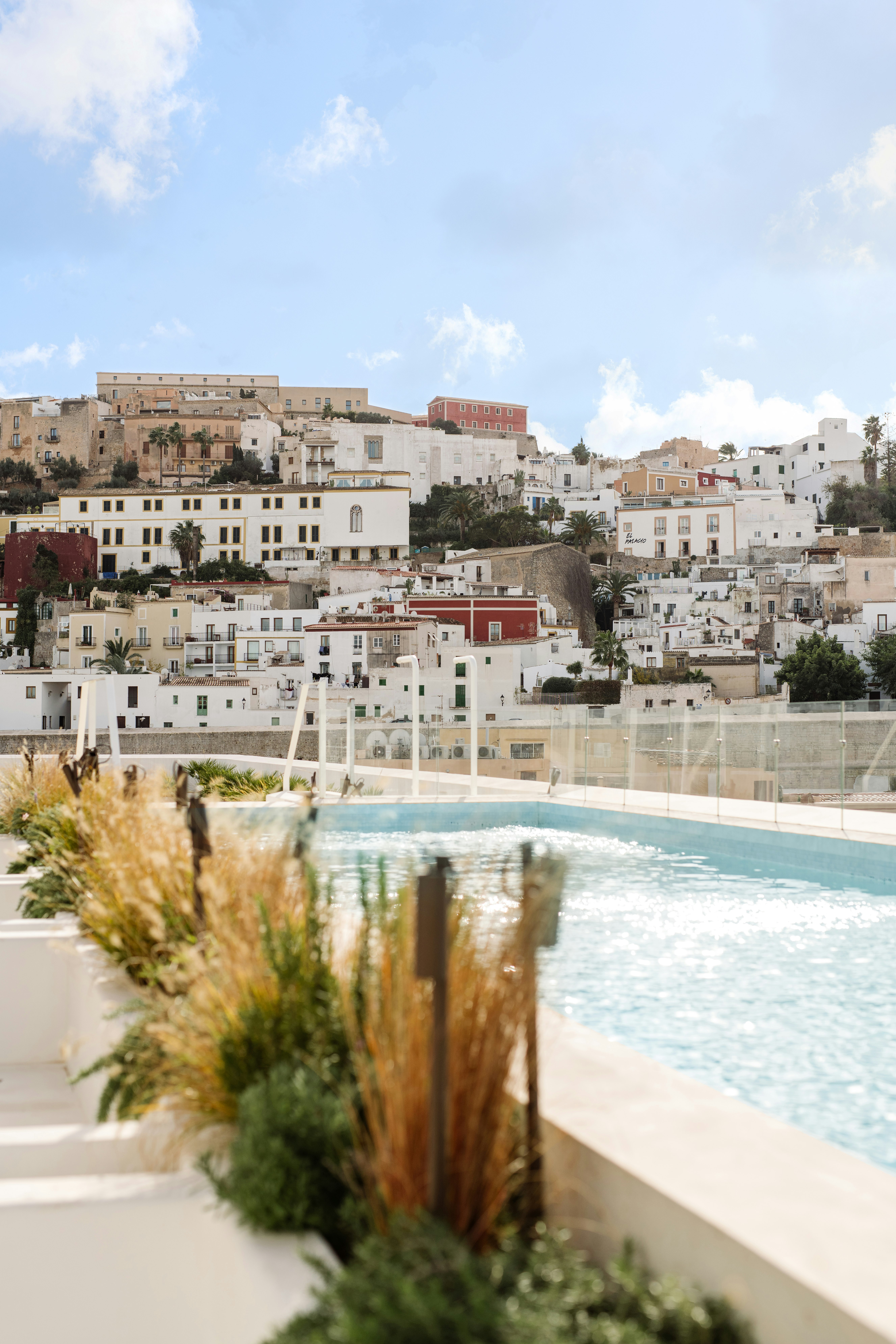 The Standard Ibiza 43/50