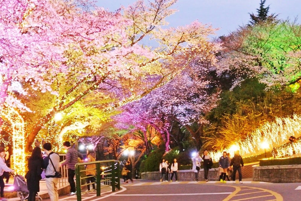 Namsan Hill Hotel 55/62