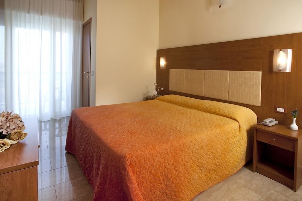 Hotel Ambasciatori 14/46