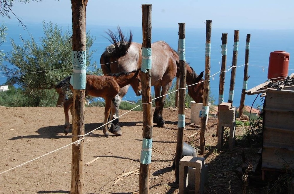 Agriturismo Santamargherita 41/53