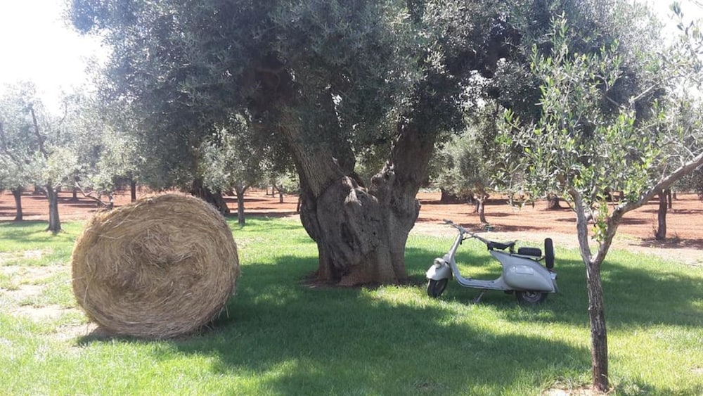 Masseria San Martino 43/57