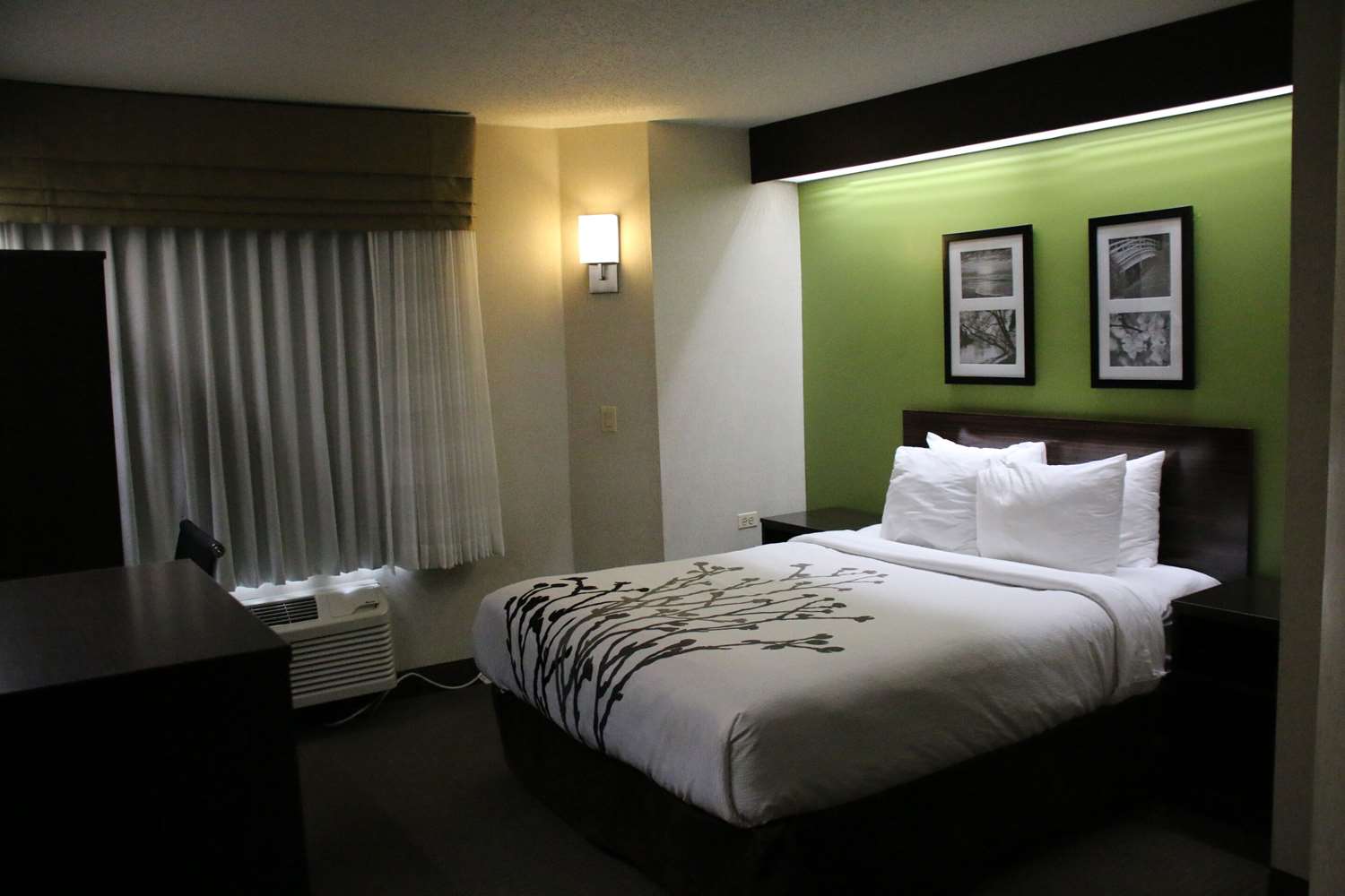 Room, Queen Bed