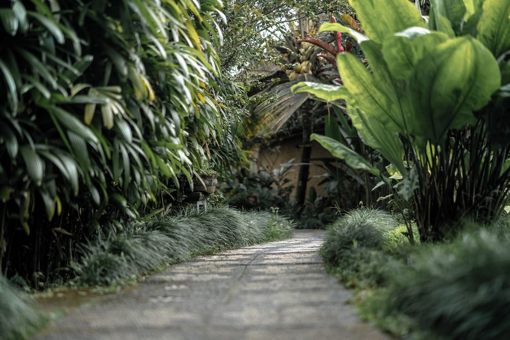 Padi Bali Eco Villas 18/27