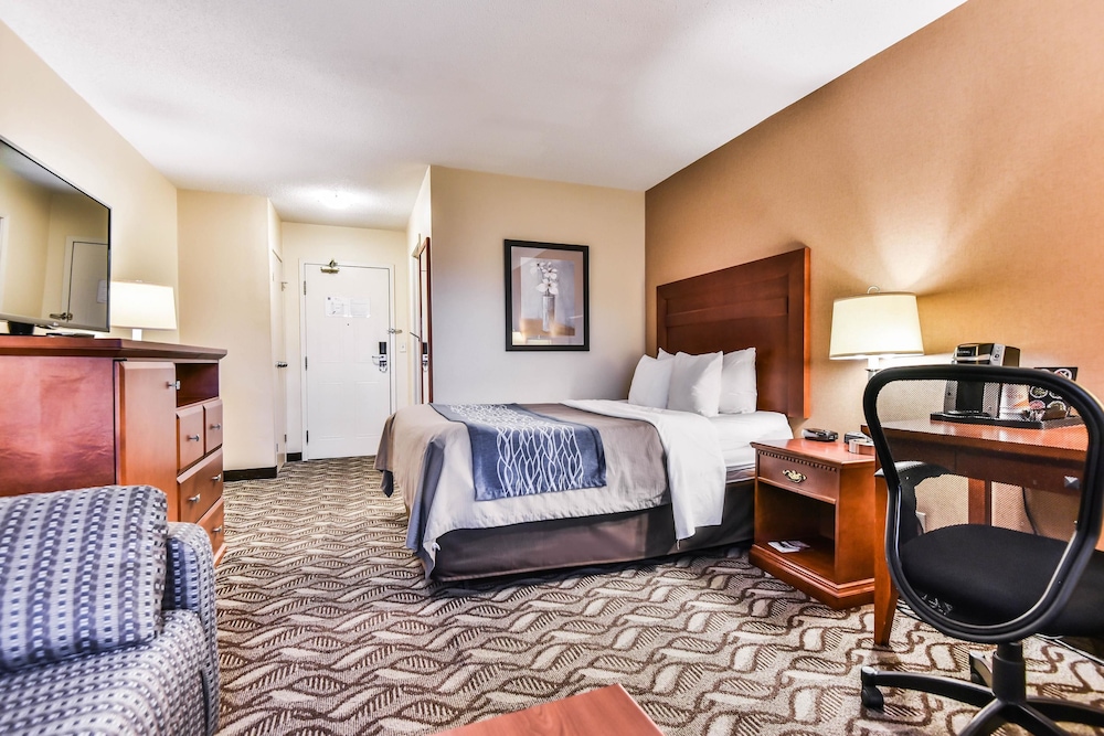 Comfort Inn & Suites Ambassador Bridge 14/39