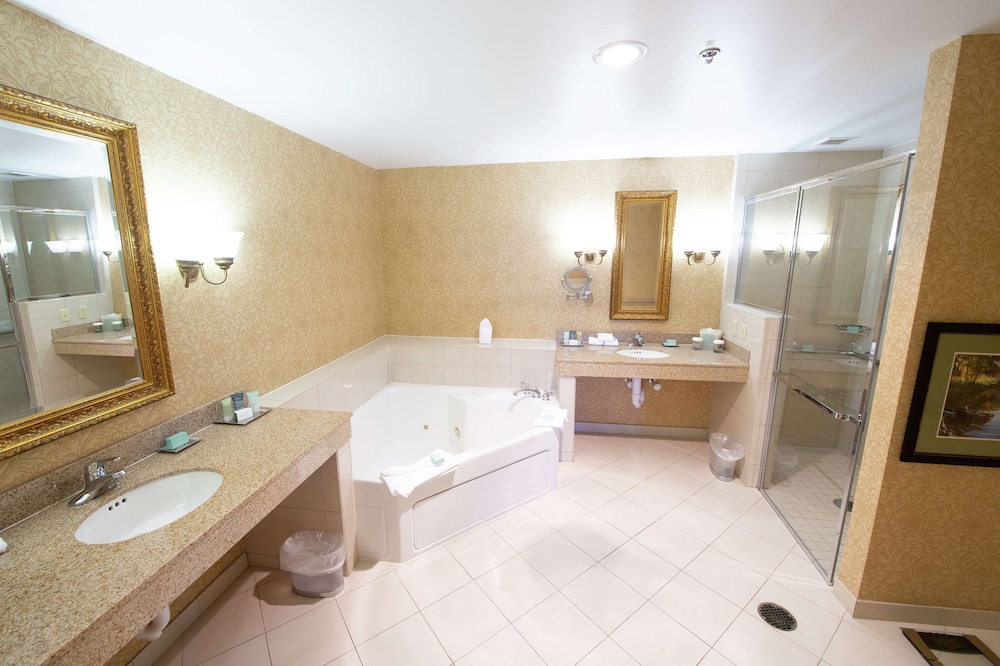 Virginia Crossings Hotel Conference Center 16/41