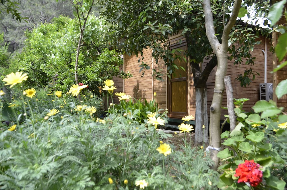 Olympos Mercan Pansiyon 29/50