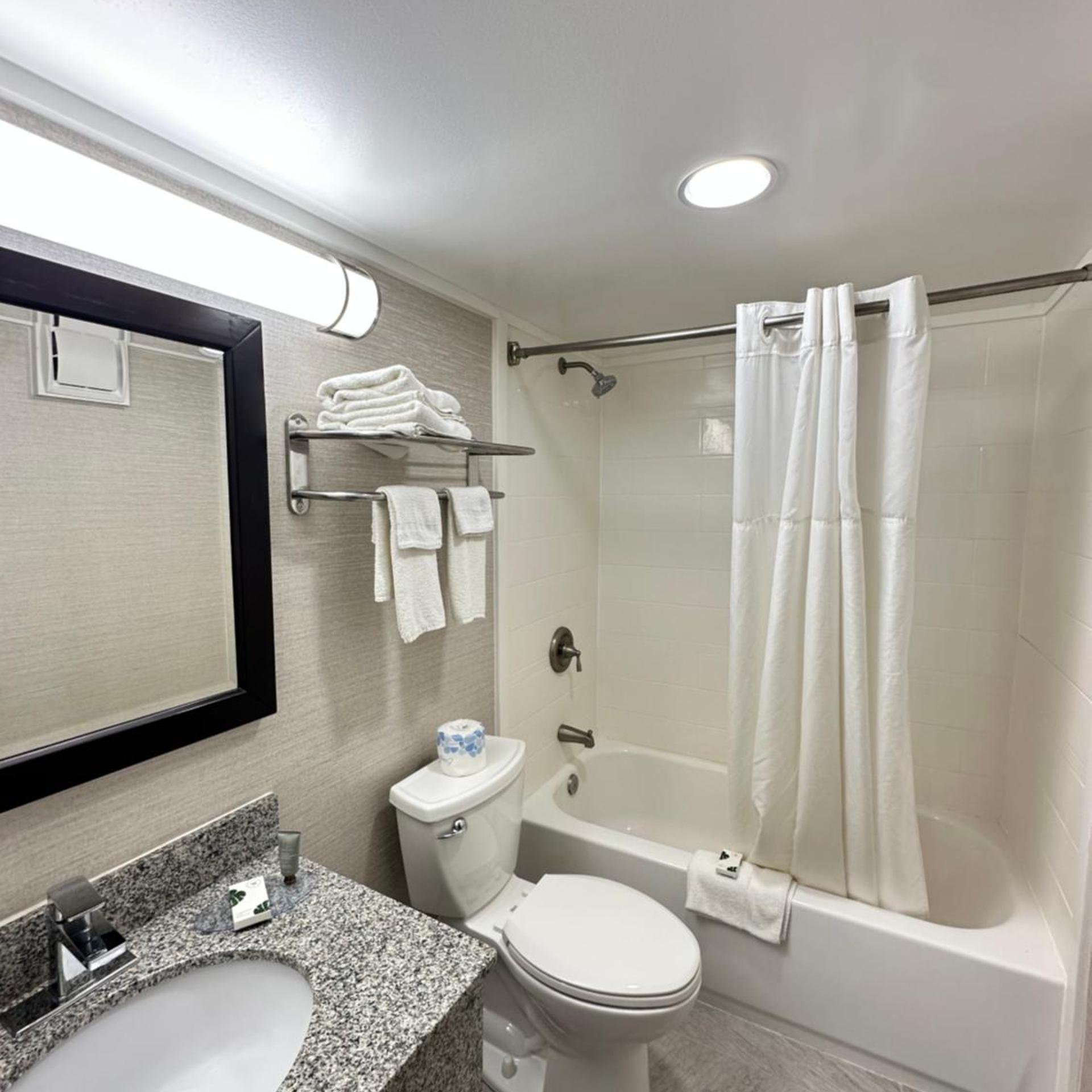 جناح ديلوكس بسرير كينج، Quality Inn Bath NY 6/6
