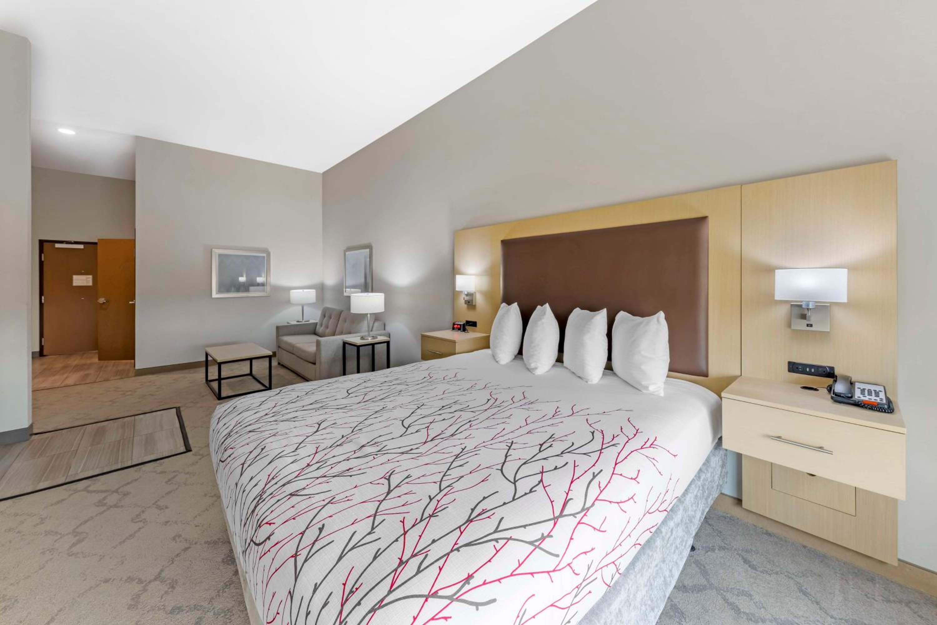 Suite, King Bed, Accessible
