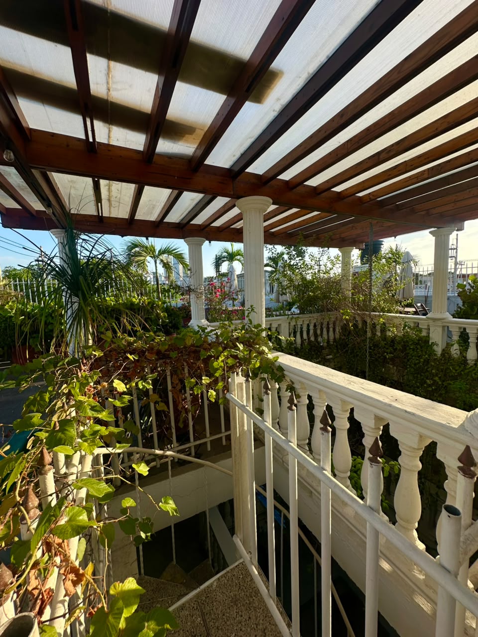 Patio de Getsemani 8/50