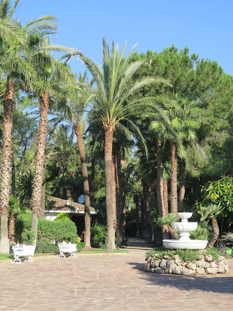Resort Oasis 39/50