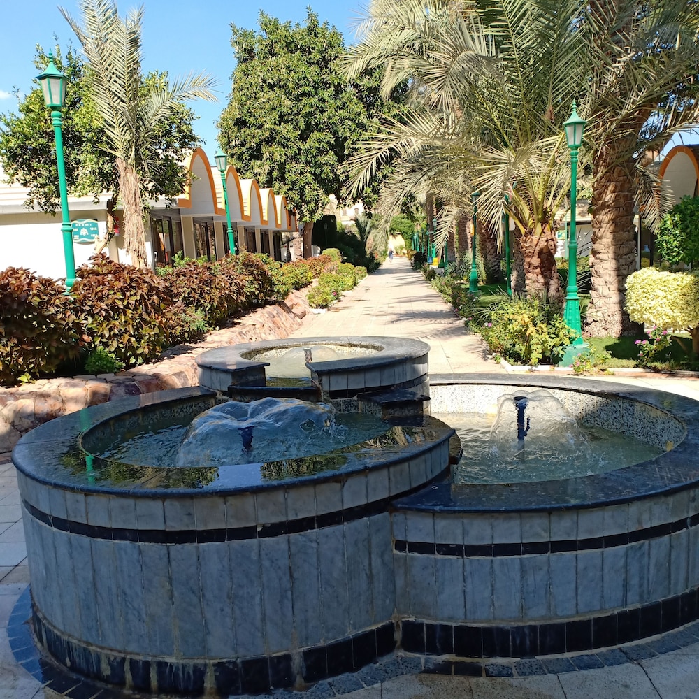 Jaz Pyramids Resort 22/50