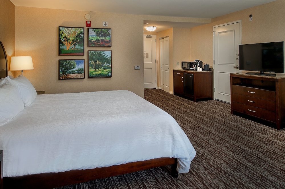 Room at HILTON GARDEN INN SAINT LOUIS AIRPORT, BERKELEY - MO