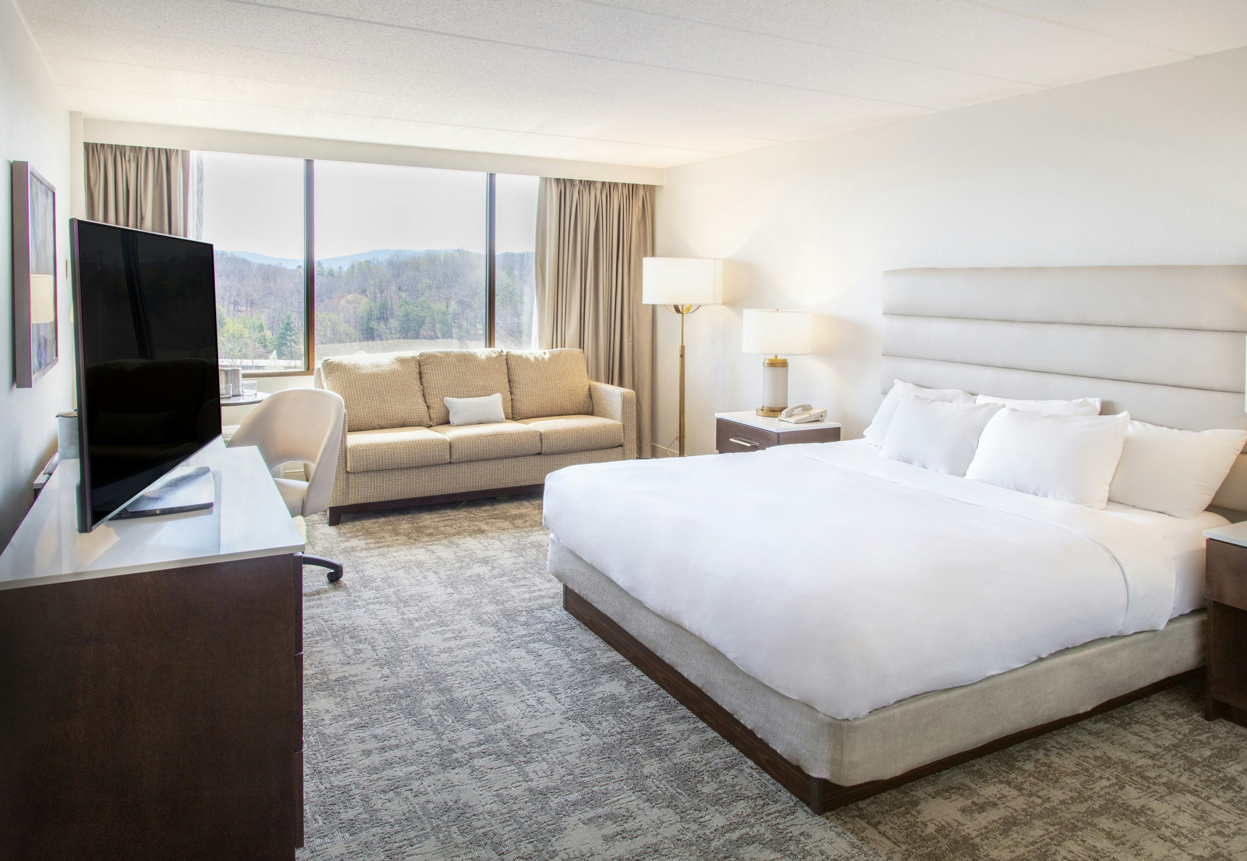 ROOM, KING BED, SOFA