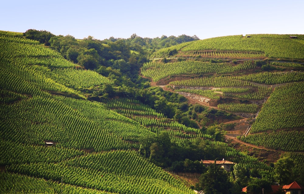 Ibis Budget Pouilly En Auxois 43/46