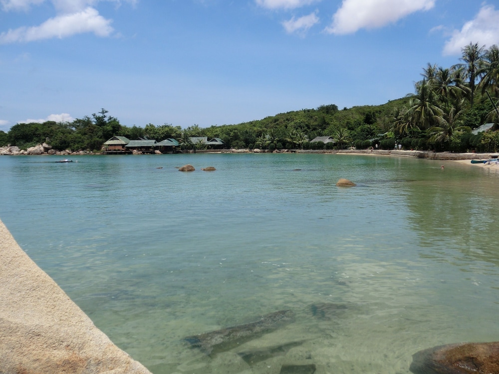Whale Island Resort 33/68