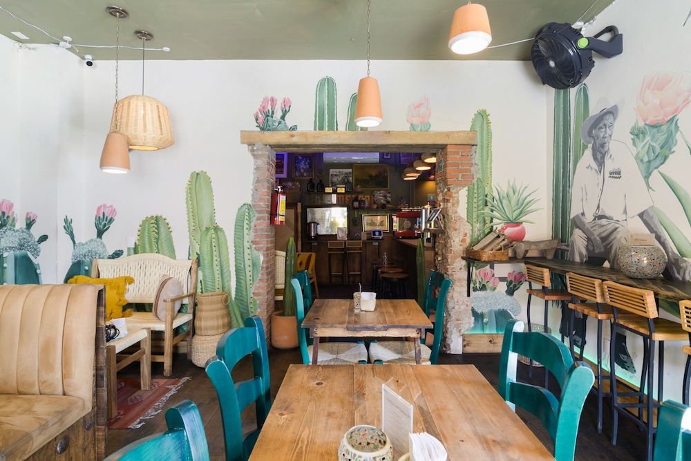 Selina Oaxaca 46/68
