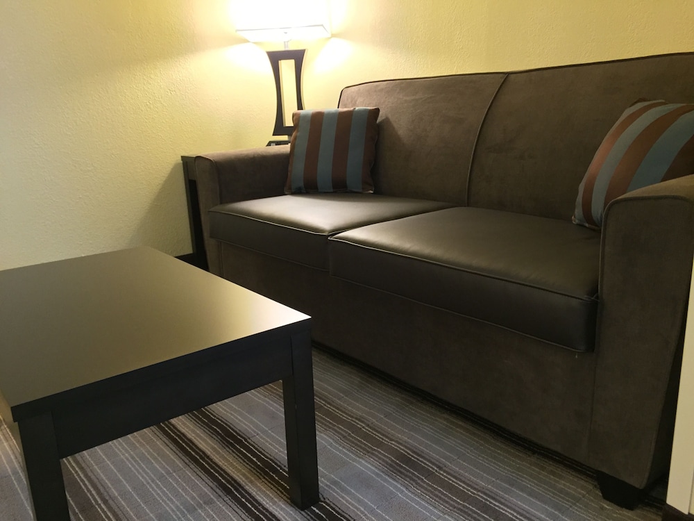 Holiday Inn Express Chicago NW - Arlington Heights, an IHG Hotel 18/54