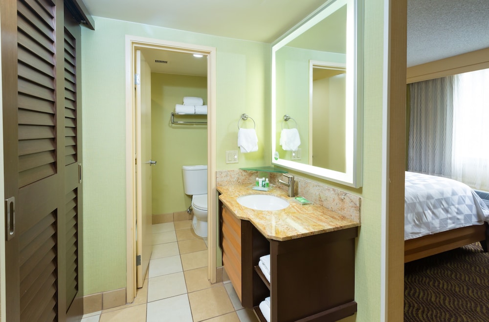 HOLIDAY INN SAN JOSE - SILICON VALLEY 29/67