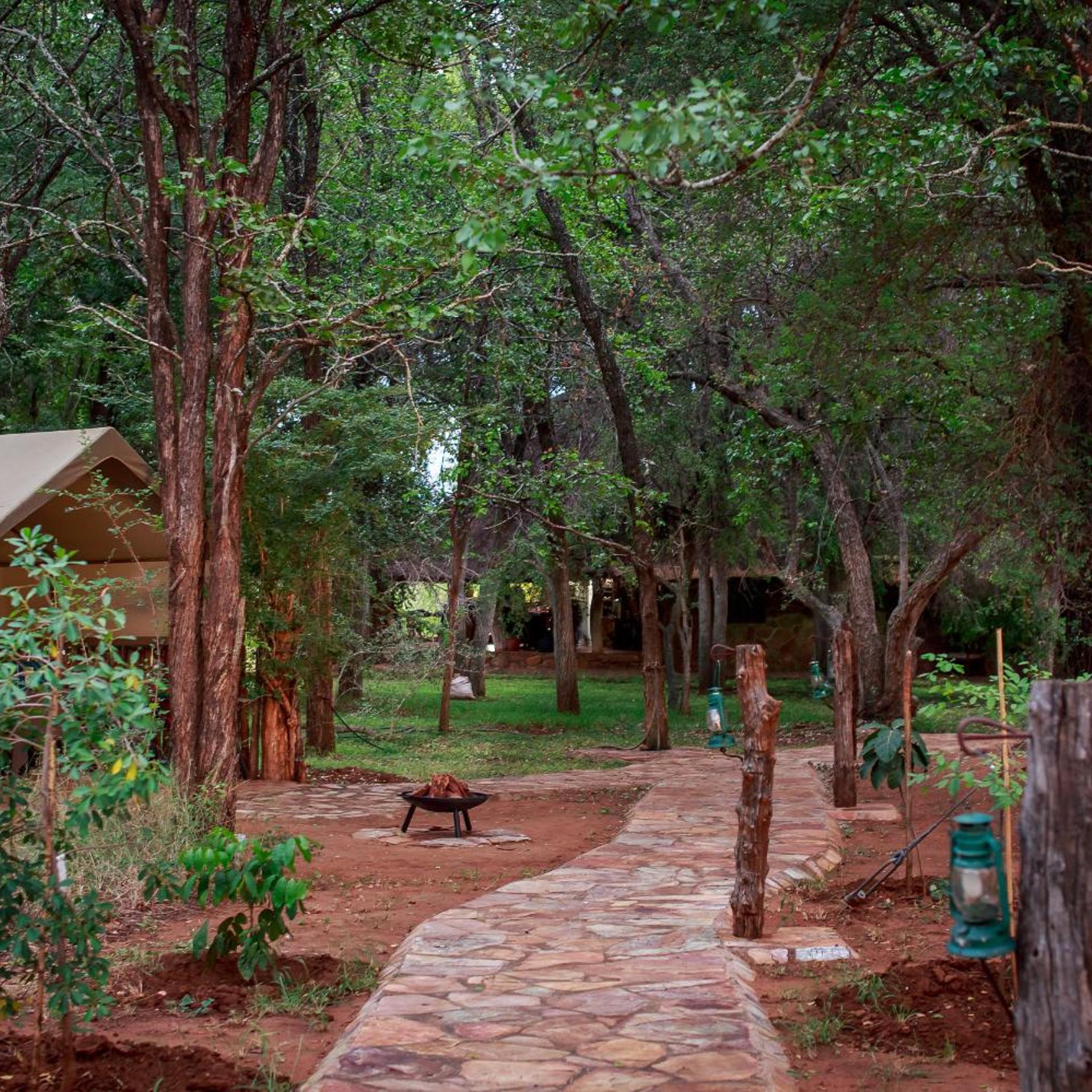 Sable Creek Safari Lodge 10/21