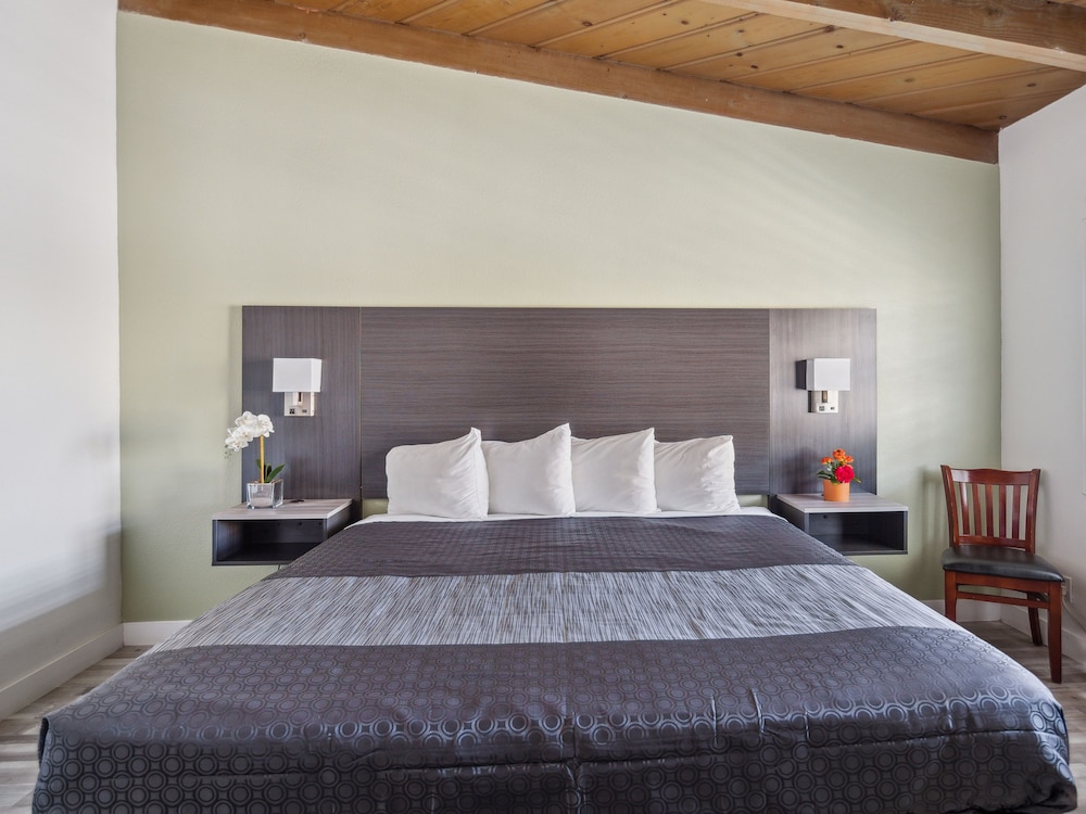 Discovery Inn 25/43