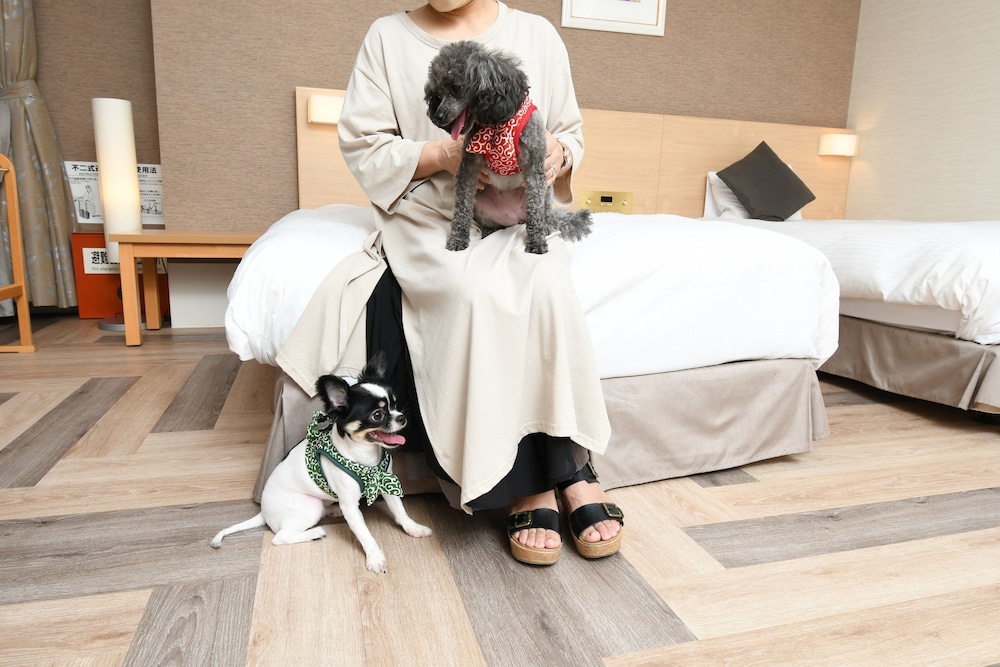 Kamenoi Hotel Chitamihama 37/72