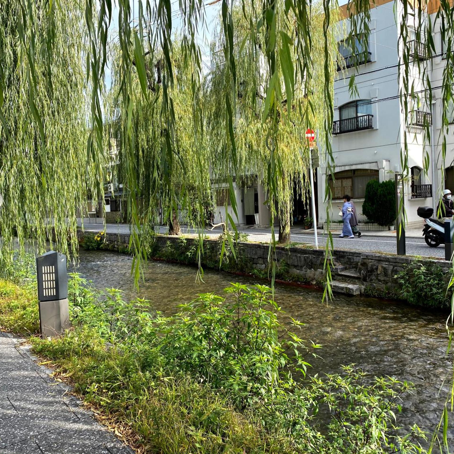 HIZ HOTEL Gion-Shirakawa 41/50