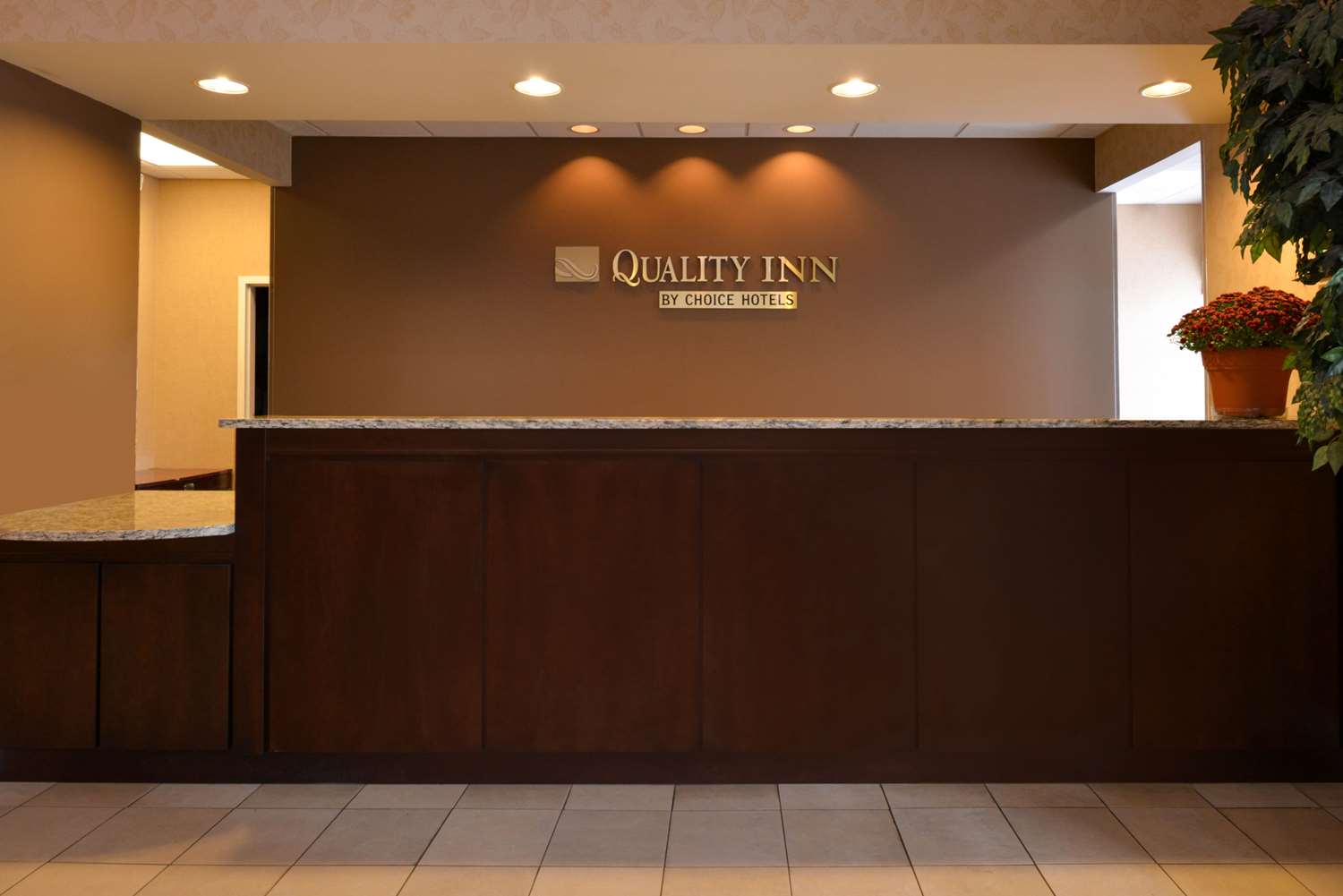 Dutch Inn Hotel 6/22
