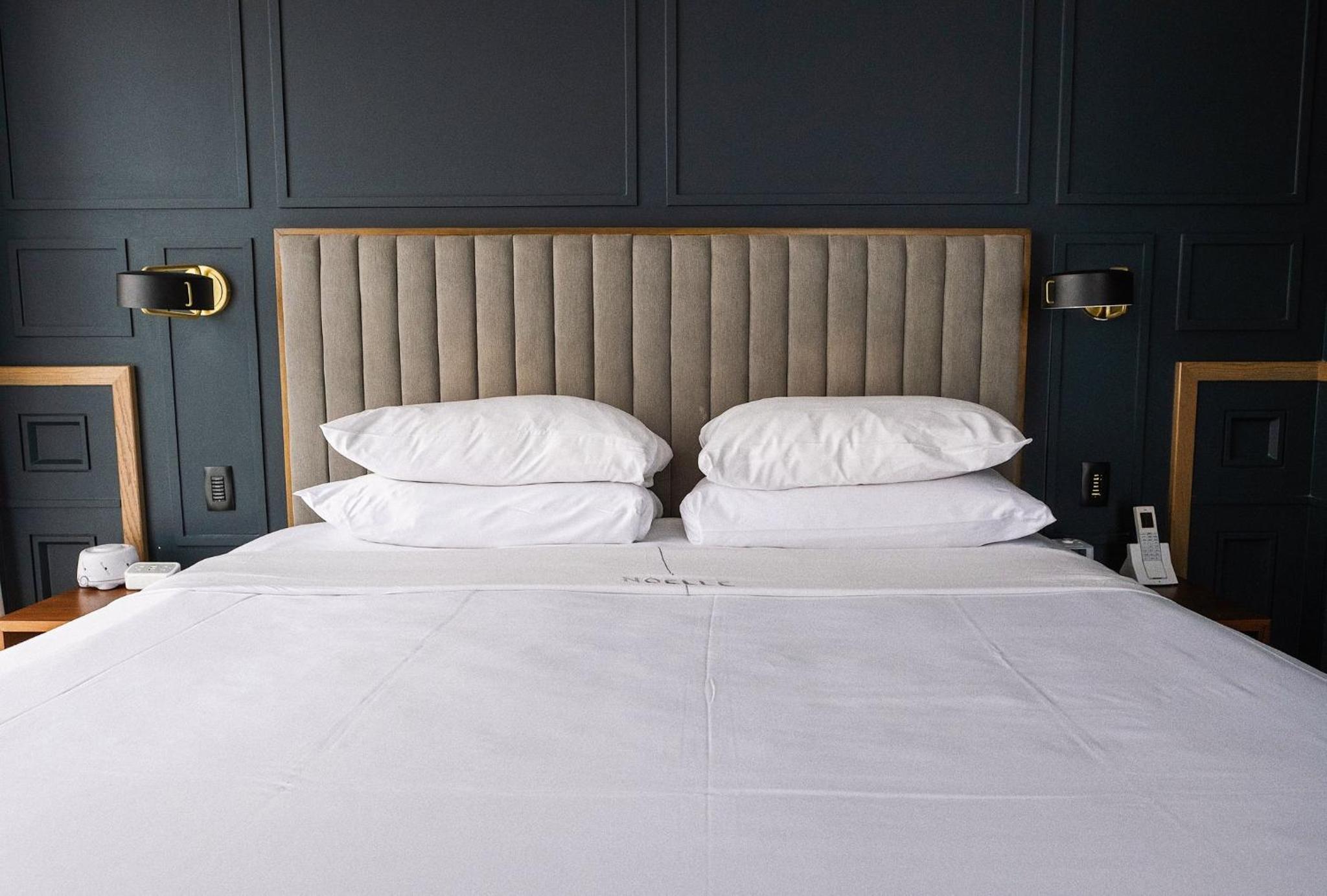 Designer, Suite, King Bed, Sofa