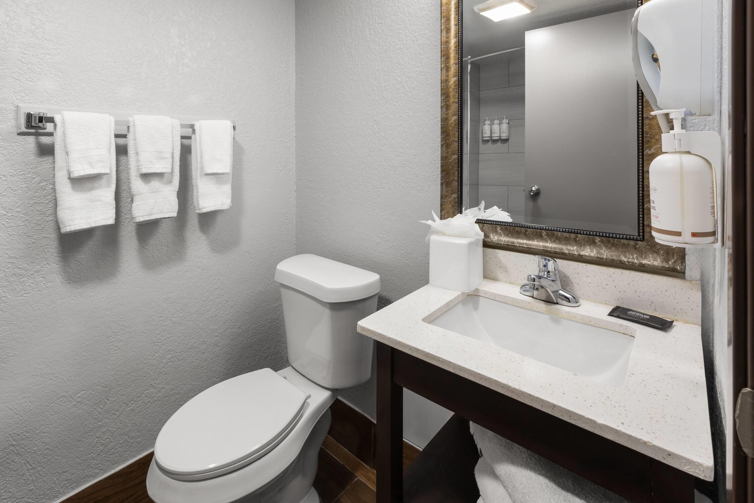 غرفة بسرير مزدوج، Baymont By Wyndham Downtown Detroit 5/6