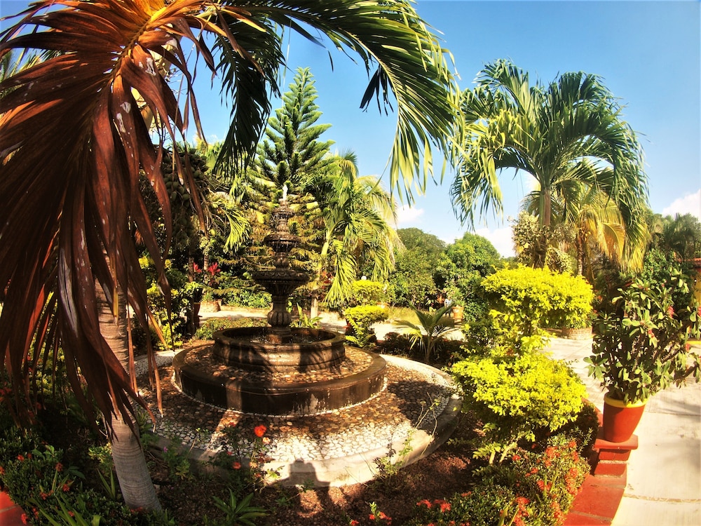 Quinta Comala 6/46