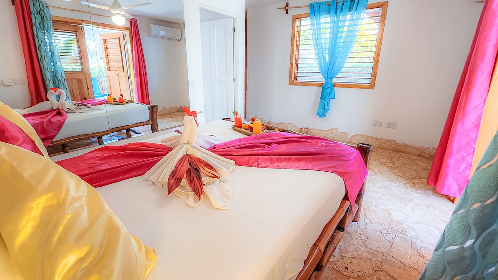 Paradiso del Caribe 8/50