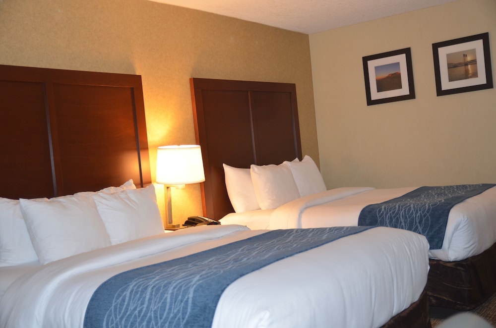Comfort Inn & Suites Vancouver Downtown City Center 13/48