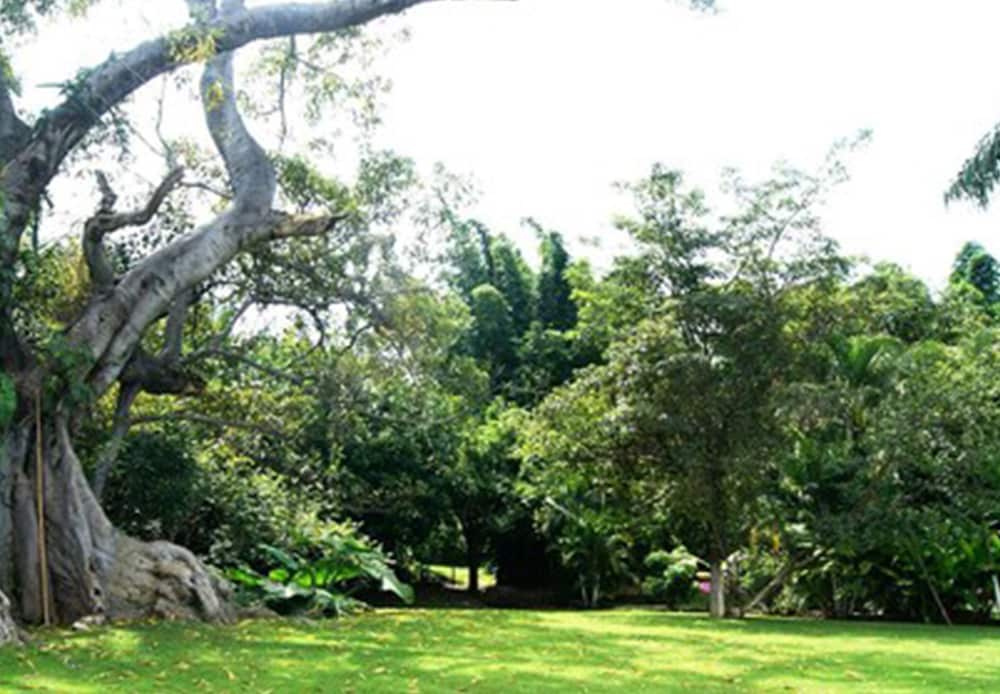 Hotel Quinta Moctezuma 40/60