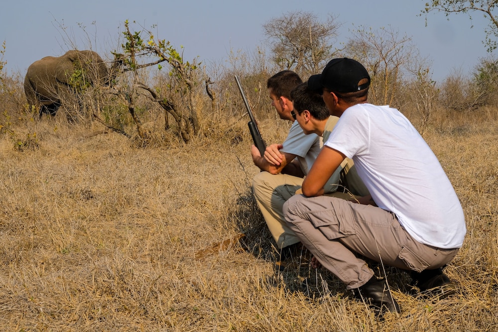 Honeyguide Tented Safari Camps 40/50