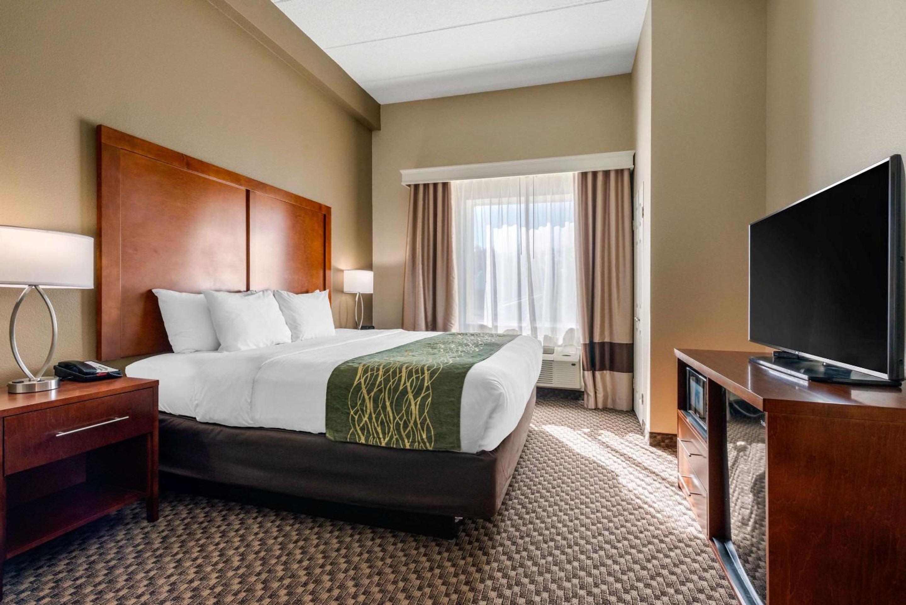 Suite, King Bed, Sofa
