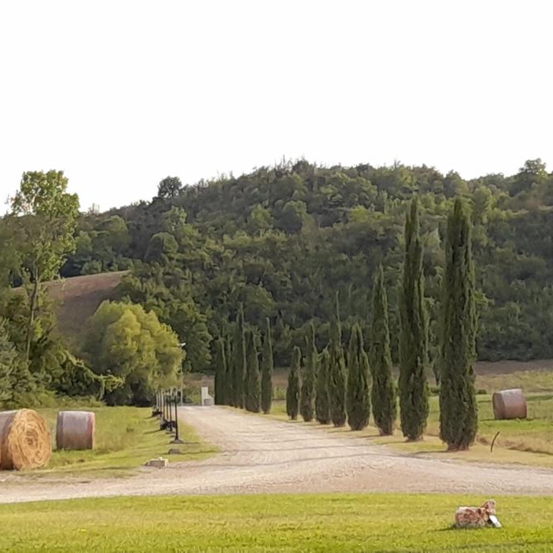 Antica Tabaccaia Resort 50/55