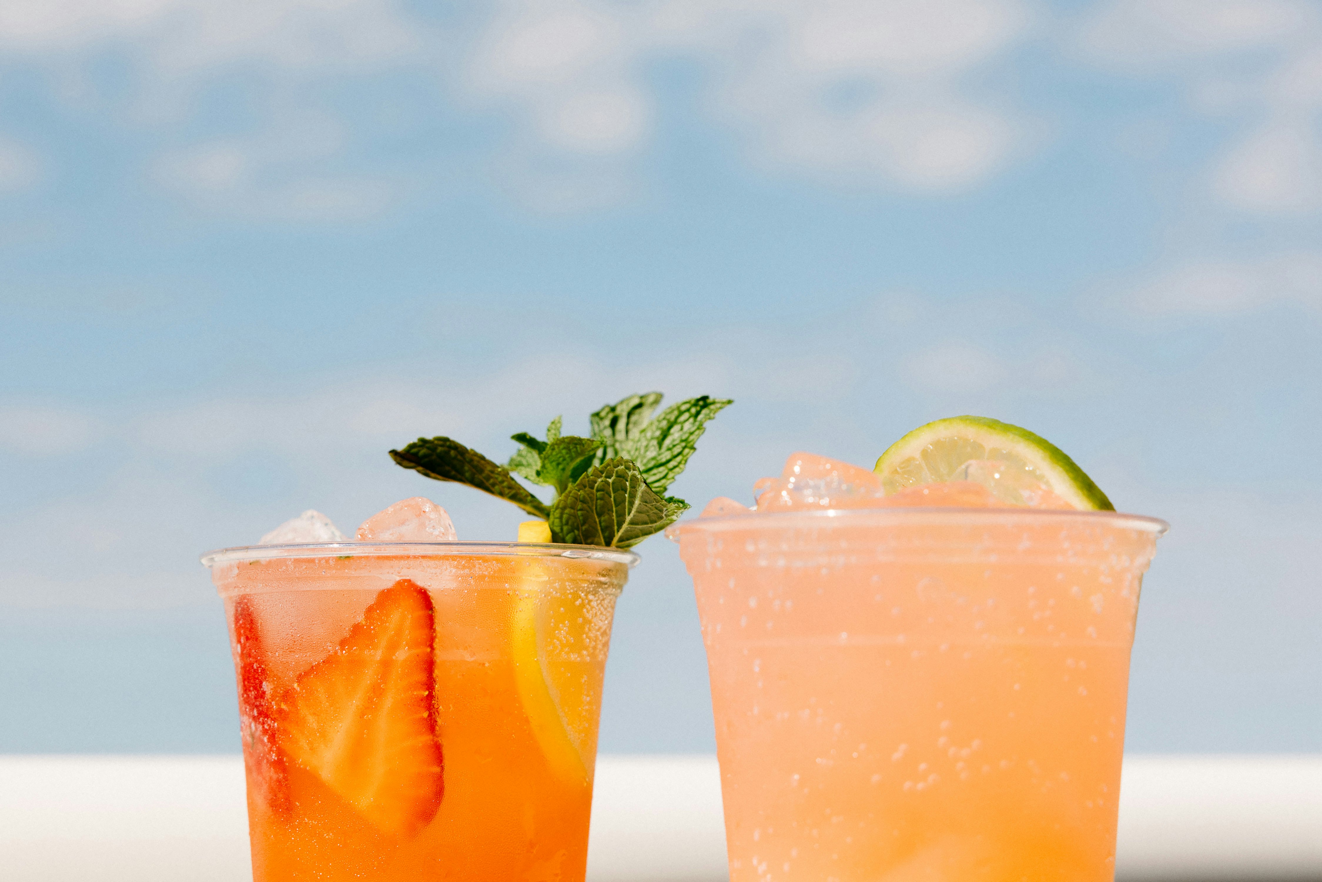 The Hiatus Clearwater Beach Curio Collection by Hilton 22/53
