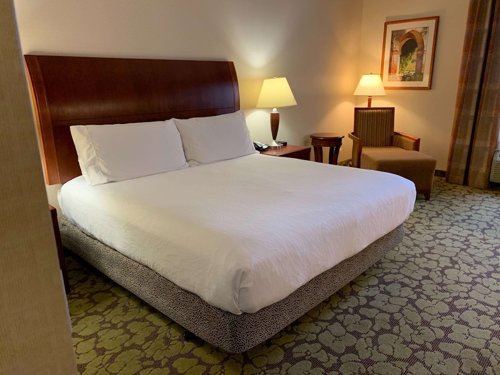 Hilton Garden Inn Colorado Springs Airport 20/59