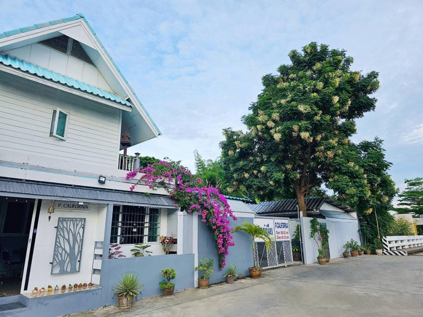P California Inter Hostel 2/48