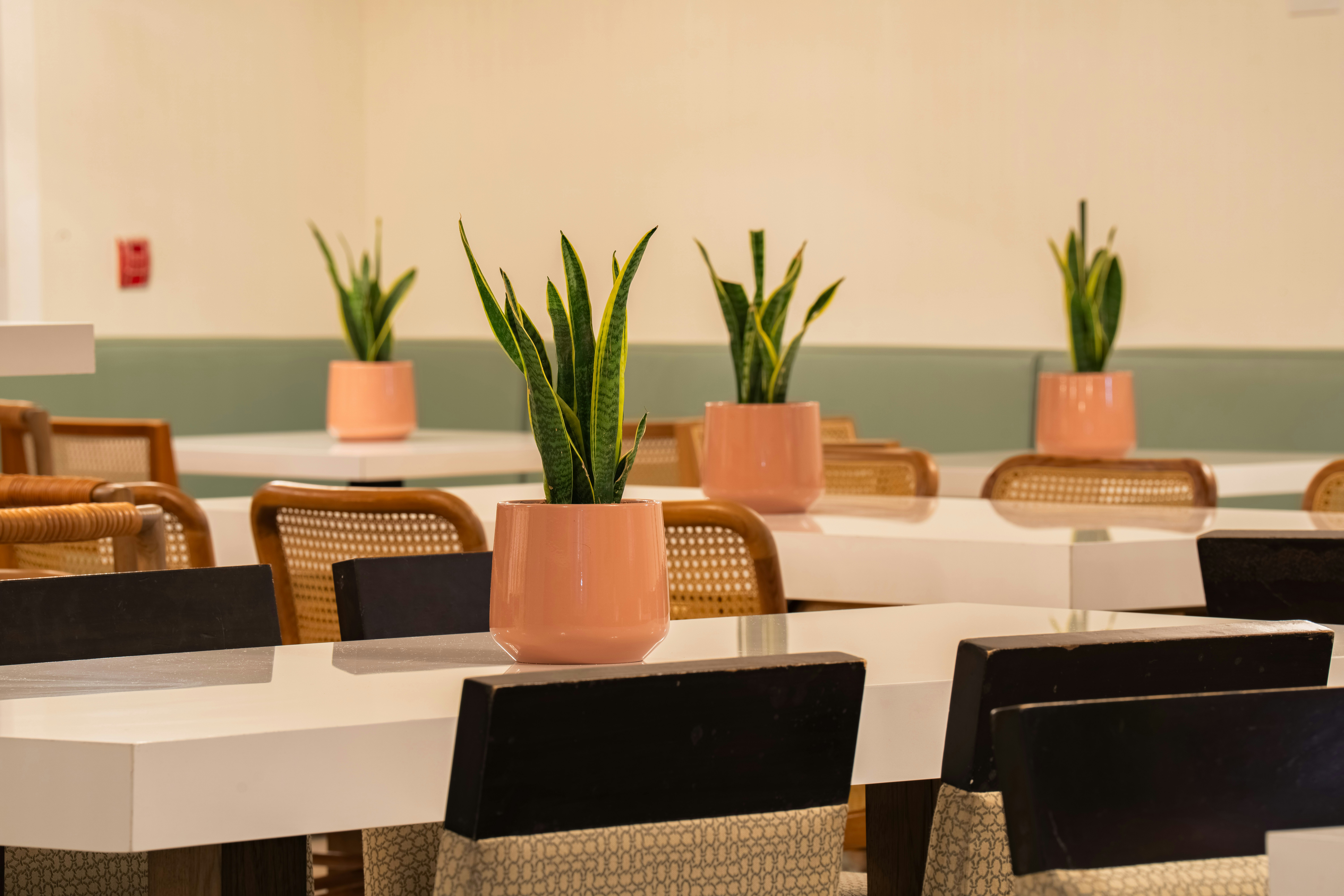 Castillo Real Resort Hotel 23/40