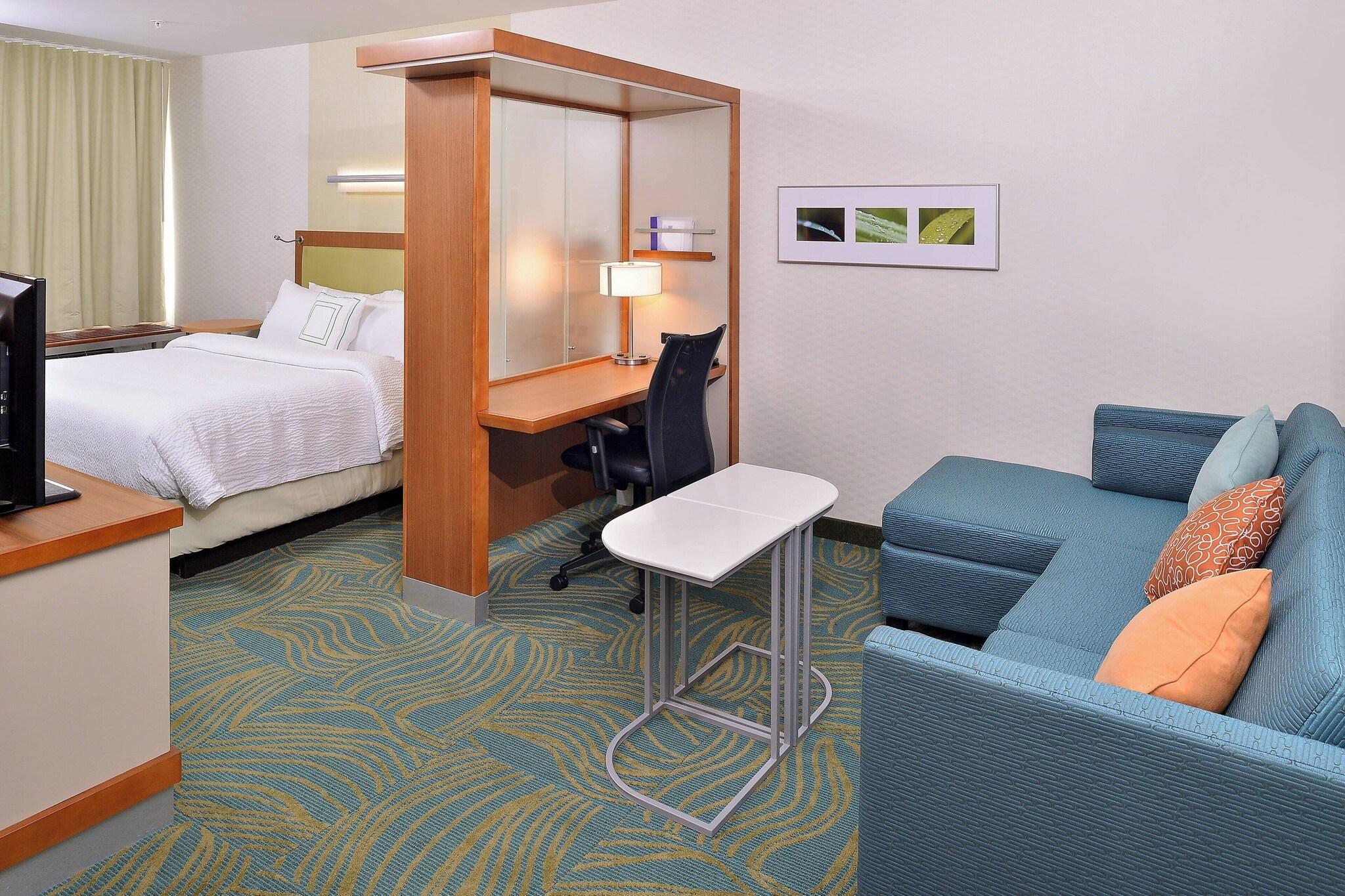 استوديو لذوي الإعاقة، Springhill Suites By Marriott Voorhees Mt Laurel Cherry Hil 2/3