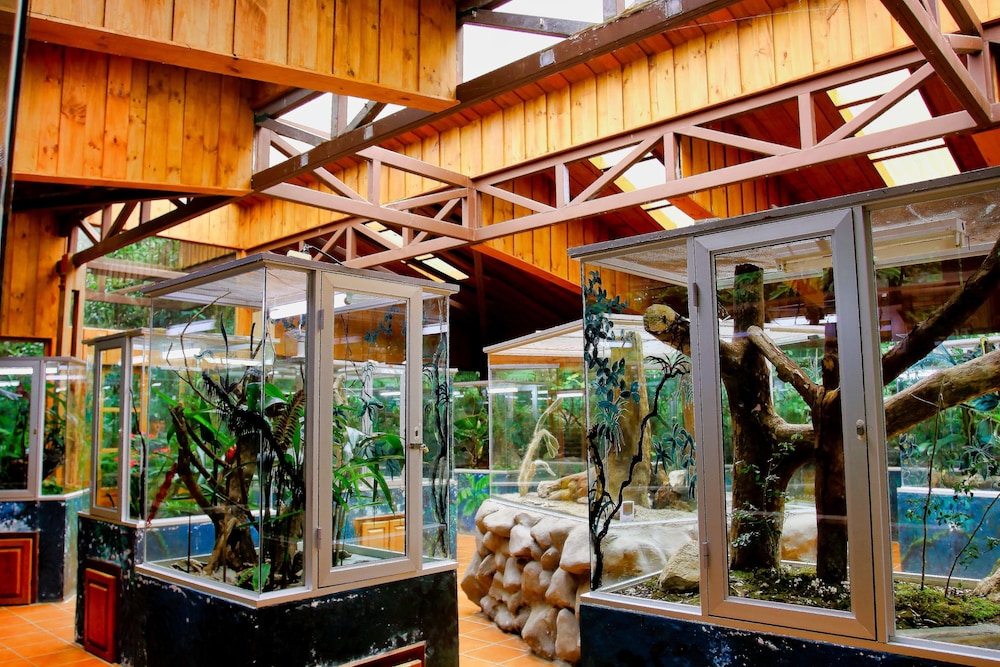 Hotel Ficus Monteverde 49/74