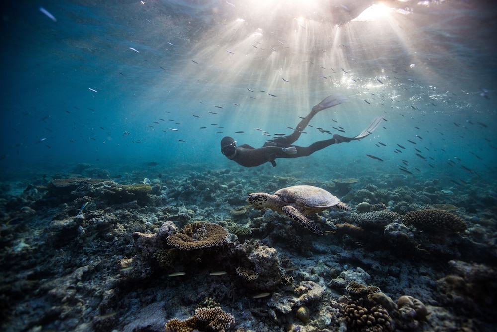 Dusit Thani Maldives 47/66