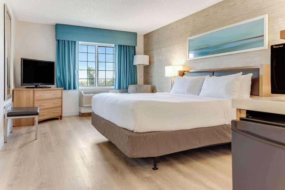 ROOM, KING BED, ACCESSIBLE