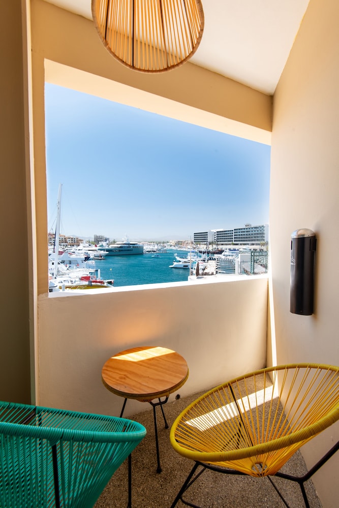 Mayan Monkey Los Cabos 25/50