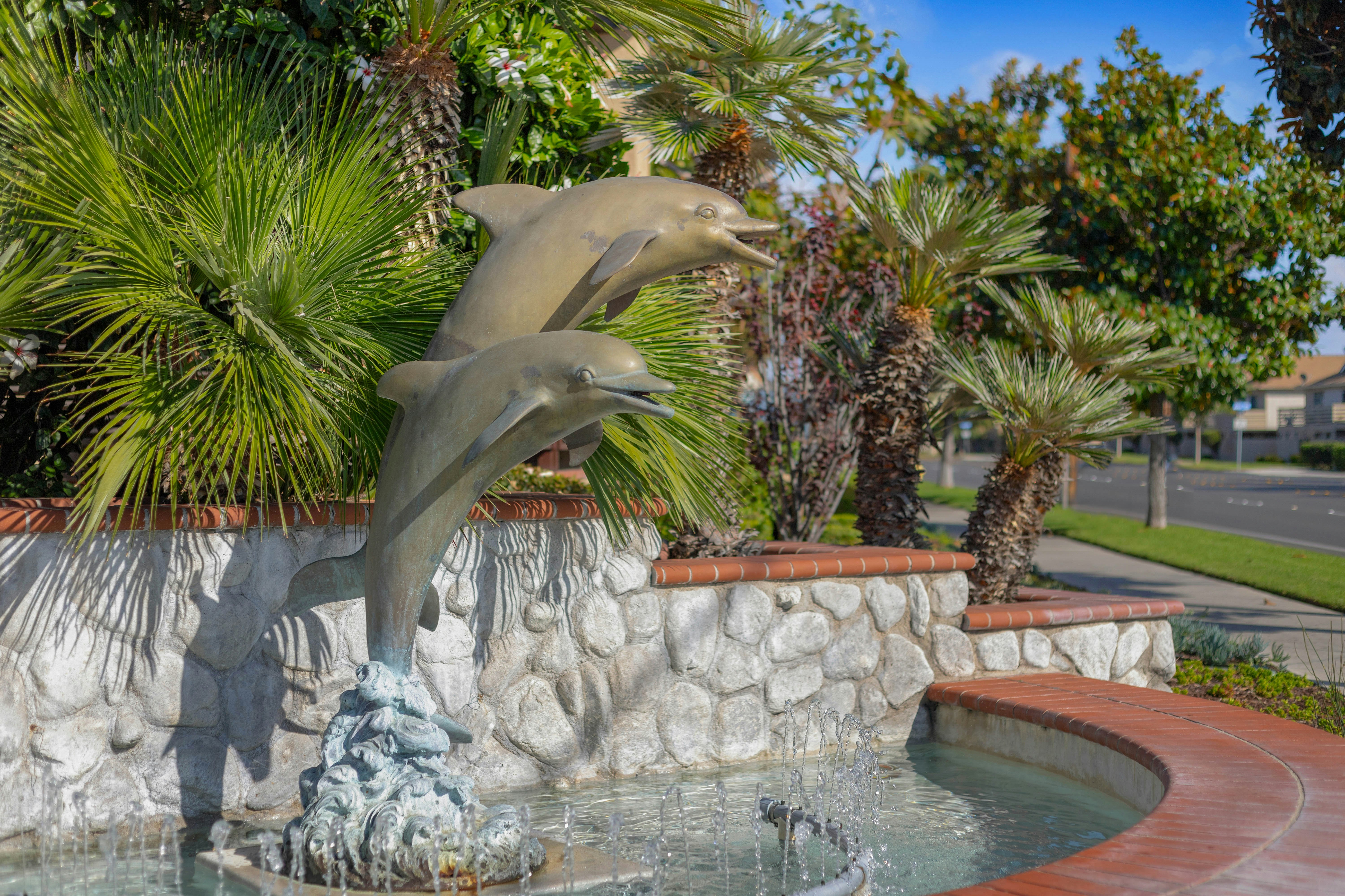 Club Wyndham Dolphin's Cove 34/40