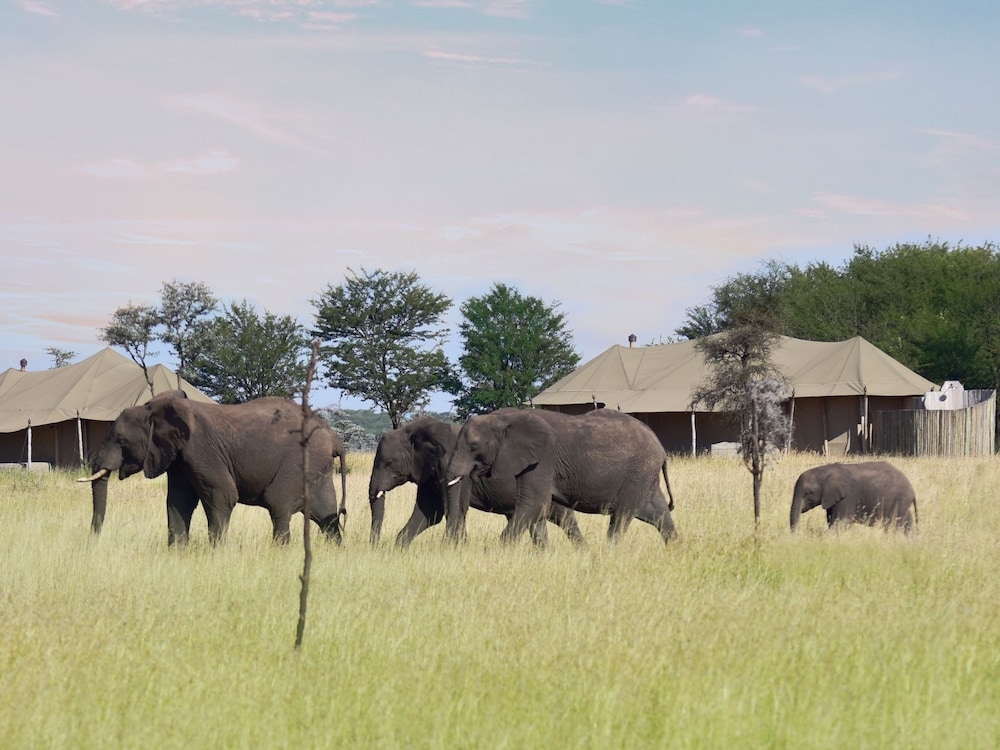 One Nature Nyaruswiga Serengeti 41/48